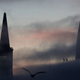 The San Francisco skyline.